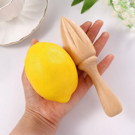 Presse agrume avec un citron dans une main